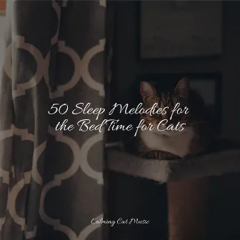 50 Sleep Melodies for the Bed Time for Cats by Relaxmycat