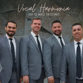 Sei o Meu Destino by Vocal Harmonia