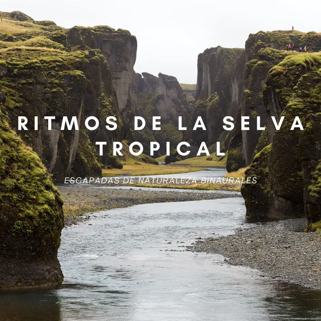 Ensueño De Lluvia En La Selva