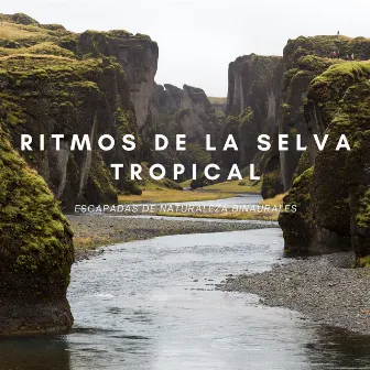 Ritmos De La Selva Tropical: Escapadas De Naturaleza Binaurales by El colectivo de la selva tropical