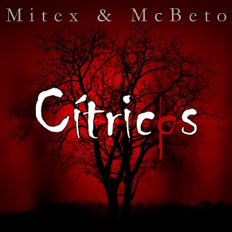 Cítricos by MITEX