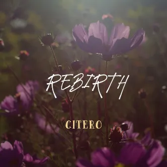 Rebirth by Citero