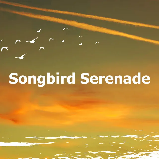 Songbird Serenade