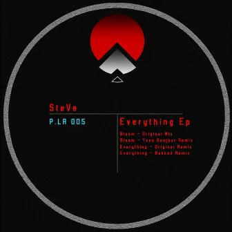 Everything EP by Steve (IT)