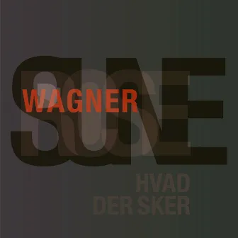 Hvad Der Sker by Sune Rose Wagner