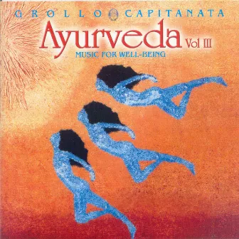 Ayurveda Vol III (Music for Well Being) by Alberto Grollo