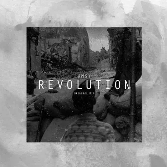 Revolution by Amsy