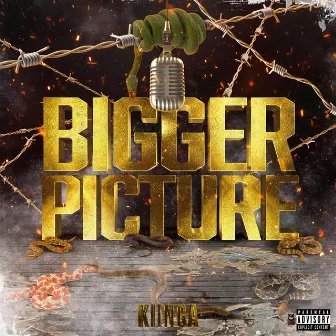 Bigger Picture by Kiinga