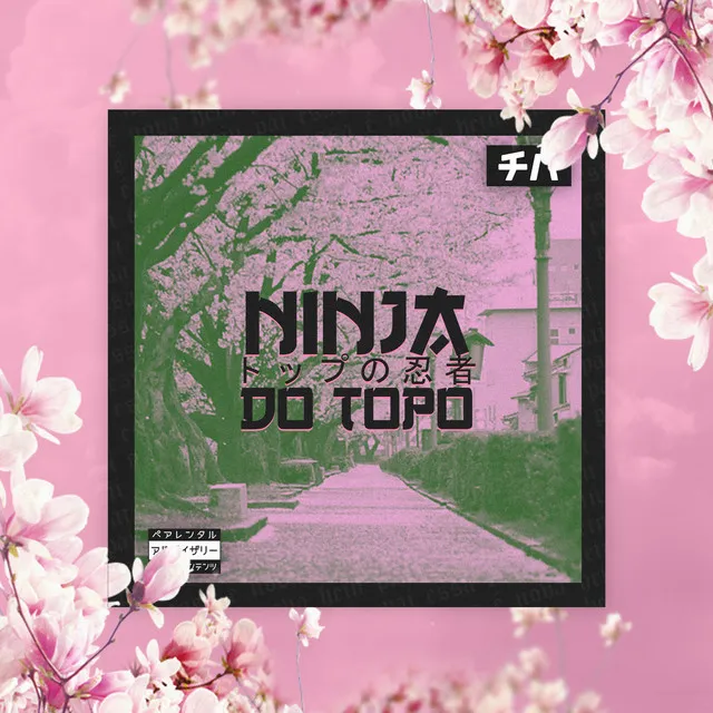 Ninja do Topo