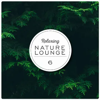 Relaxing Nature Lounge, Vol. 6 by Reginaldo Frazatto Jr.