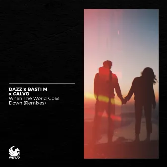 When the World Goes Down (Remixes) by Basti M