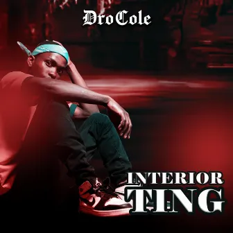 INTERIOR TING by DroCole