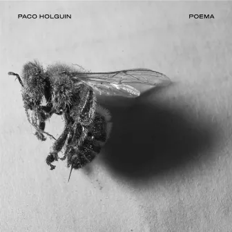 Poema by Paco Holguín