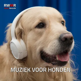 Muziek voor honden - Ontspannende geluiden voor gestresste puppy's, kalmerende melodieën voor de oren van de hond, rustgevende instrumentale muziek voor angst, rustgevende slaap by RW Rustgevende melodieën van honden