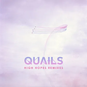 High Hopes (Remixes) by Quails