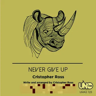 Never Give Up by Cristopher Ross