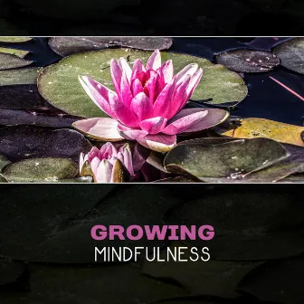 Growing Mindfulness - Along the Sacred Path by Meditation Therapy Society