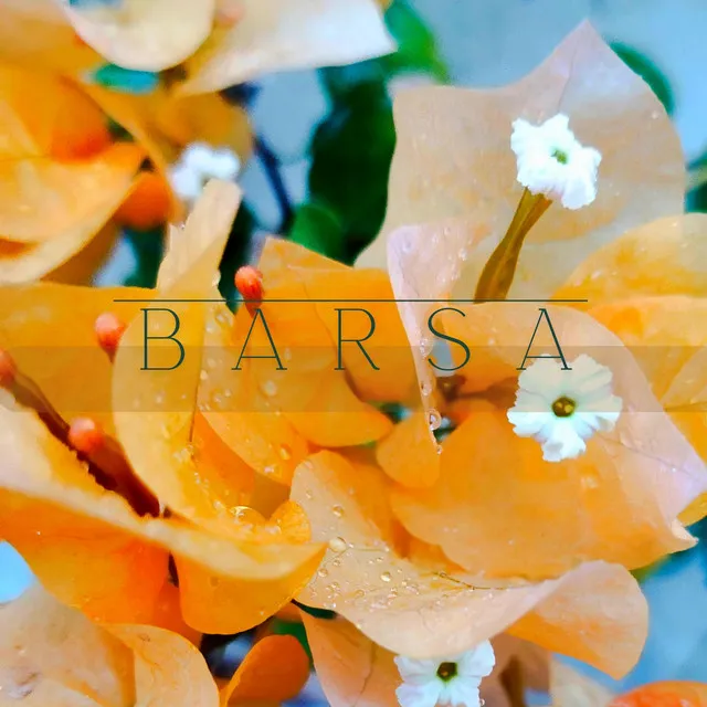 Barsa