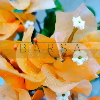 Barsa by Joshua Singh