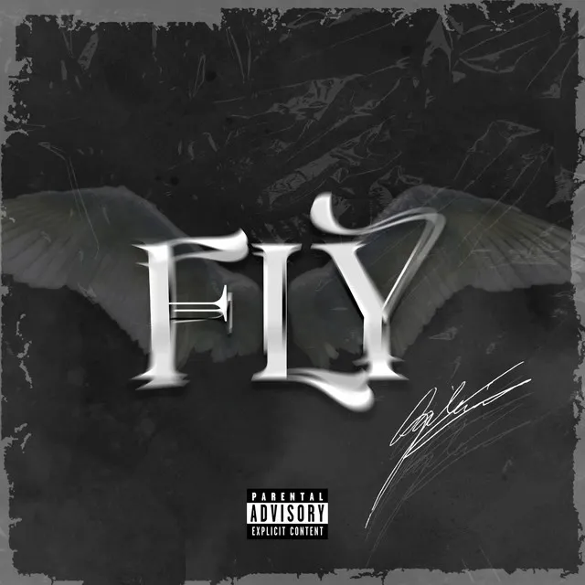 FLY