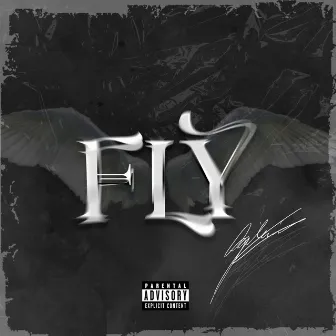 FLY by Gileuri