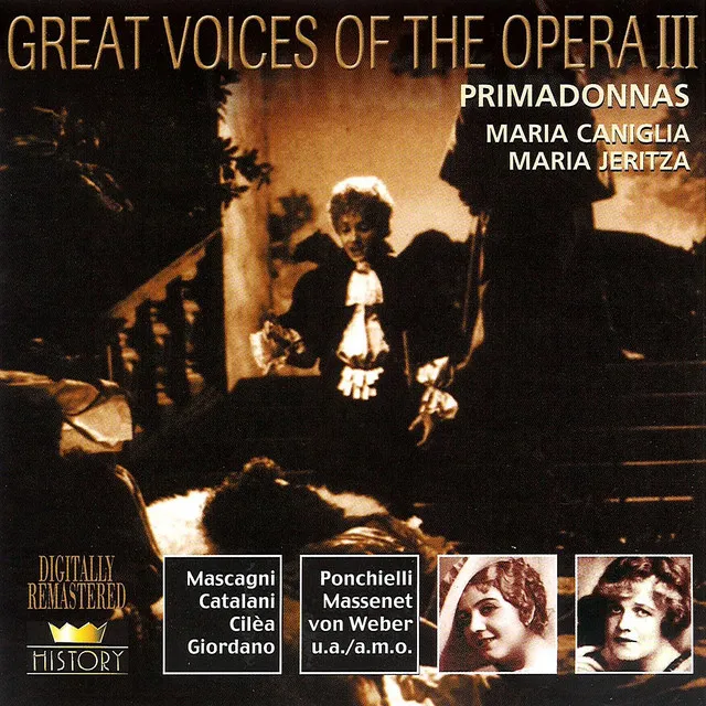 Great Voices Of The Opera Vol. 6