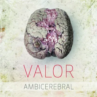 Ambicerebral by Valor