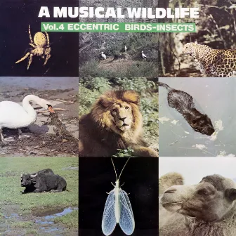 A Musical Wildlife, Vol. 4: Eccentric Birds-Insects by Sam Sklair