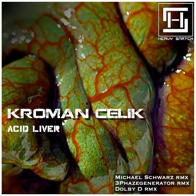 Acid Liver - Original Mix