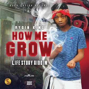 How Me Grow by Rygin King