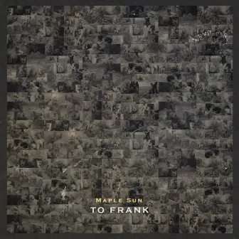 To Frank by Maple Sun