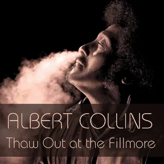 Thaw Out At the Fillmore by Albert Collins