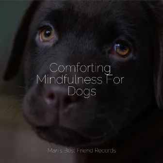 Powerful Nature Infused Melodies | Sleep For Dogs by Relaxing Music for Dogs