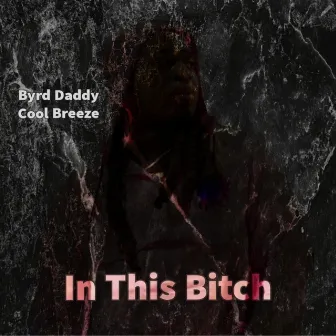 In This Bitch by Byrd Daddy Cool Breeze