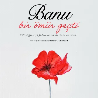 Bir Ömür Geçti by Banu Kırbağ