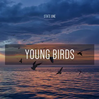 Young Birds by State One