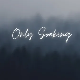 Only Soaking by Unknown Artist