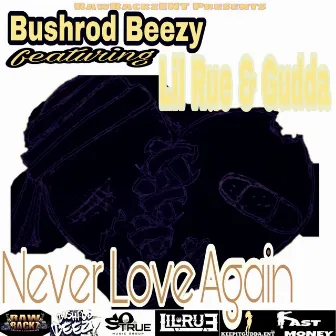 Never Love Again by Bushrod Beezy