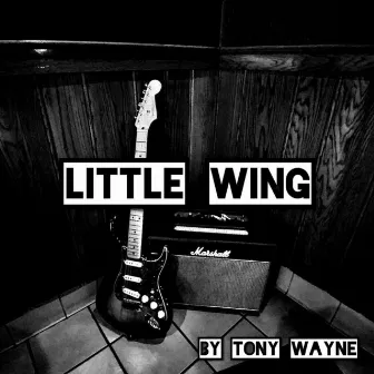 Little Wing by Tony Wayne