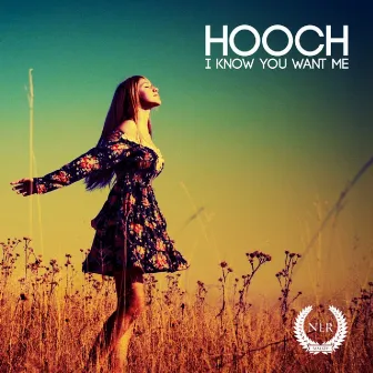 I Know You Want Me by Hooch