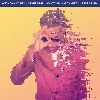 What You Want (Austin Leeds Remix) by Anthony Carey