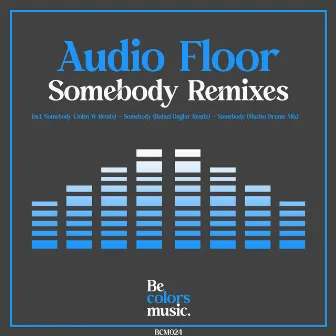 Somebody Remixes by Audio Floor