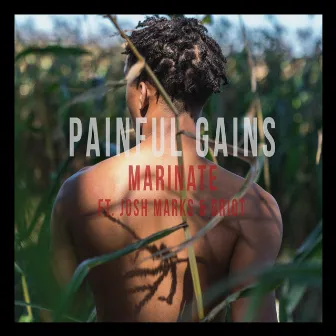 Painful Gains by Marinate