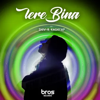 Tere Bina by Shivi R Kashyap