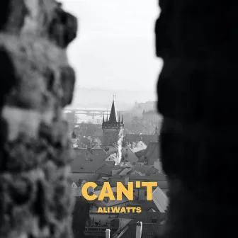 Can't by Ali Watts