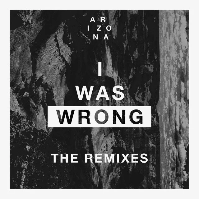 I Was Wrong - Icarus Moth Remix