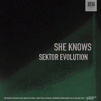 Sektor Evolution by She Knows