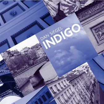 Indigo by Dan Siegel