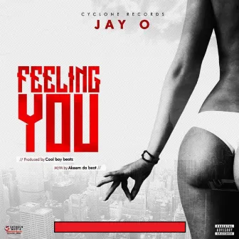 Feeling You by Jay O