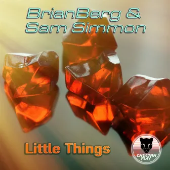 Little Things (Edit) by Sam Simmon